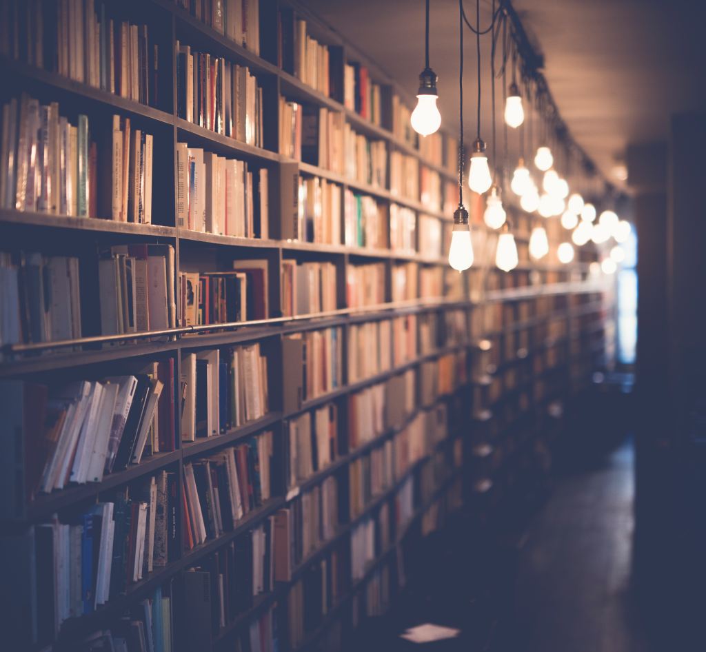 Stock image of a hallway of floor to ceiling shelves filled with books and string bulbs suspended from the ceiling lighting the hallway from above.